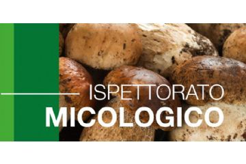 Servizio di ispettorato micologico