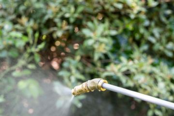 Avviso di intervento di disinfestazone adulticida 